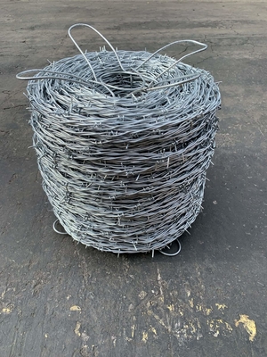 산화 방지 및 강물 저항성 12 -15 저탄소 강철 가시가 와이어 360-1000mm 코일 지름
