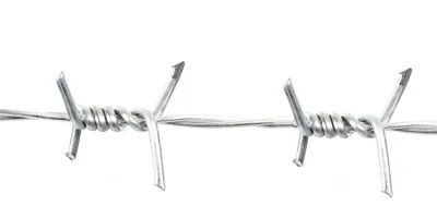 1.4mm-2.6mm 크로스 레이저 진열된 가시무선 농장 울타리 500M 20Kg 롤별 레이저 유형 와이어 가이드 1.4mm-2.6mm